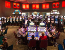 CCJ do Senado debate liberação de cassino, bingo, jogo do bicho e jogos de azar