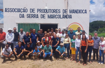 Sada atua no combate de praga em lavouras de mandioca no sul do Piauí