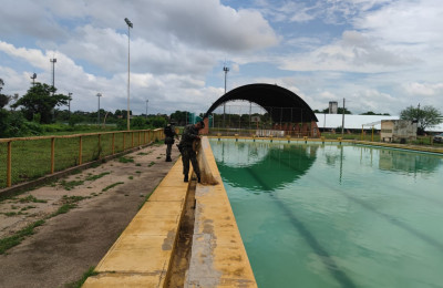 Batalhão de Policiamento Ambiental captura jacaré dentro de piscina na UFPI