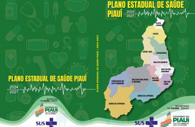 Sesapi  publica o Plano Estadual Saúde para o quadriênio 2024-2027