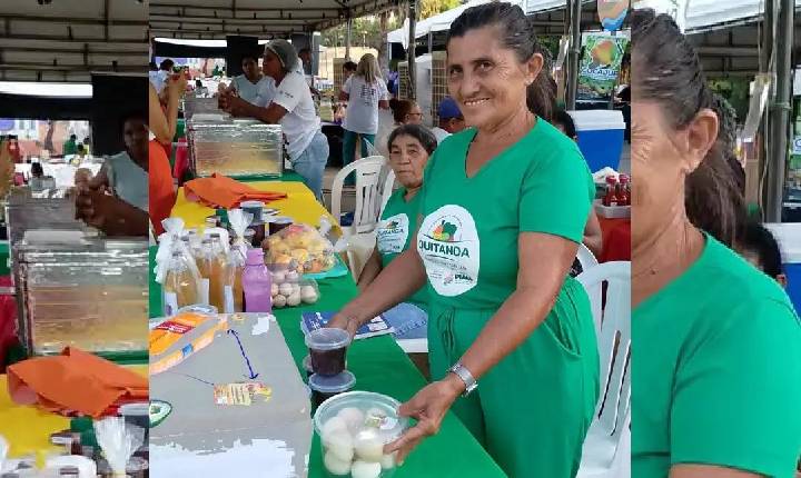 Agricultores familiares aumentam renda em 30% com programa federal 