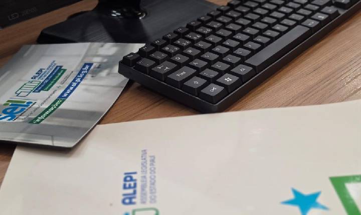 Alepi passa utilizar o Sistema Eletrônico de Informações a partir de segunda (10)