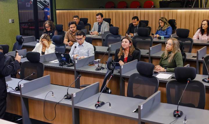 Audiência pública destaca necessidade de mais produções didáticas sobre o Piauí