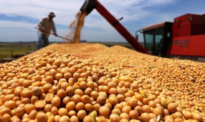 Balança Comercial do Piauí registra crescimento de 32,1% nas exportações em julho