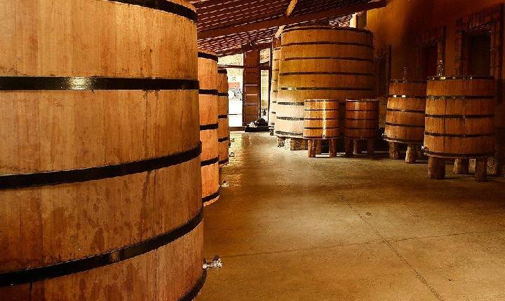 Com apoio da Investe Piauí, grupo de Amarante ganha projeção e visibilidade