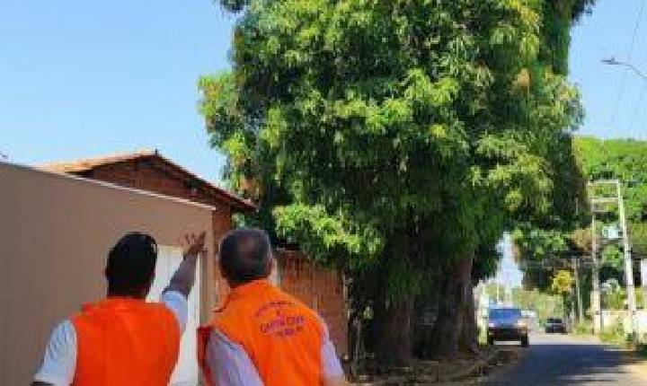 Defesa Civil contabiliza 45 ocorrências em agosto com destaque para árvores