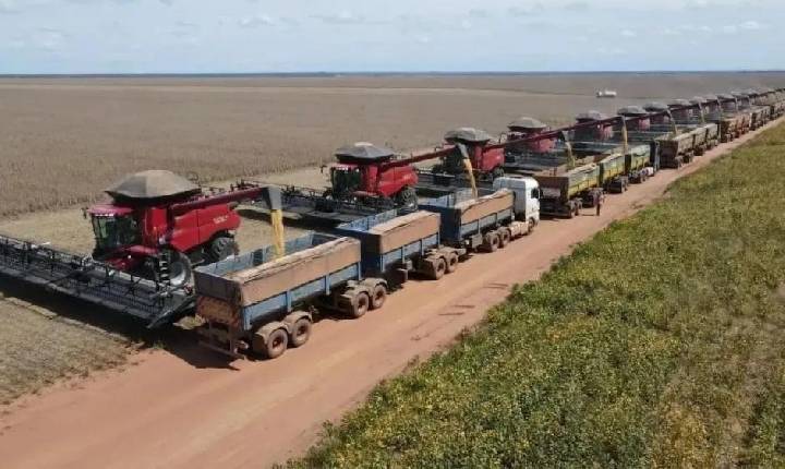 GEES acelera expansão no cerrado piauiense com projeto de irrigação de R$ 80 milhões