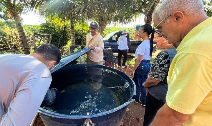 Governo do Estado fortalece estratégias da rede de atenção à saúde contra a dengue