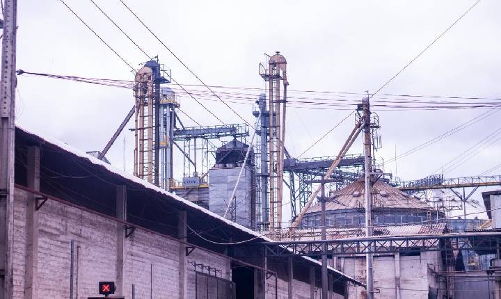 Indústria piauiense alcança 300 mil toneladas de soja processadas por ano