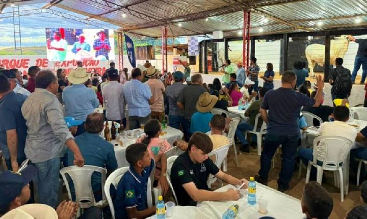 Leilão de Gado de Cria e Recria é sucesso em Simplício Mendes