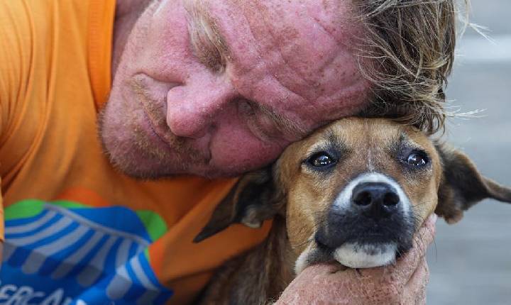 Leis aprovadas na Alepi buscam fortalecer combate a crime contra animais