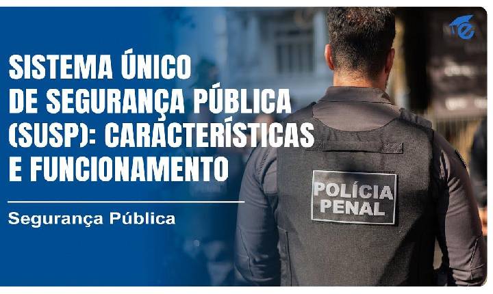 Levantamento do TCE-PI aponta baixa adesão dos municípios ao SUSP