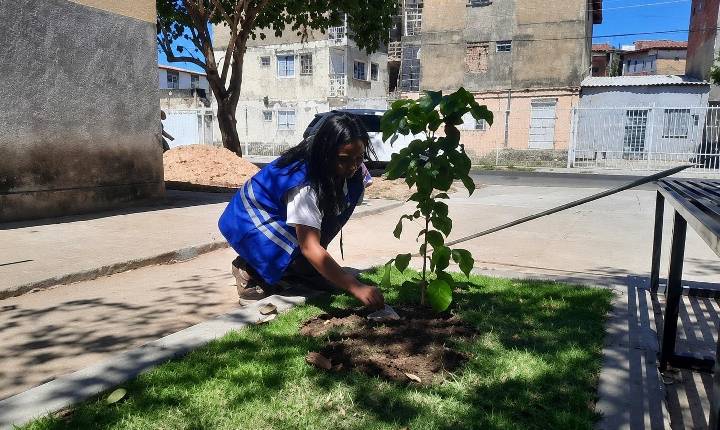 Mercado do Morada Nova ganha paisagismo para receber Food Park
