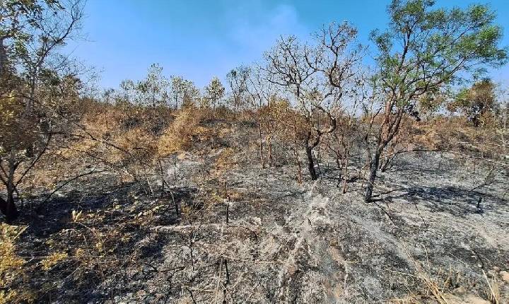 Pesquisa mostra que mudanças climáticas já afetam 85% dos brasileiros