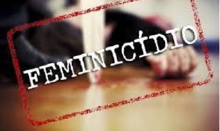 Plano Nacional Contra Feminicídio exige correções urgentes, aponta relatório da CDH no Senado