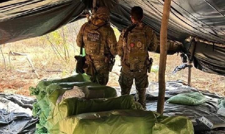 Polícia Federal prende oito suspeitos durante erradicação de maconha no Piauí