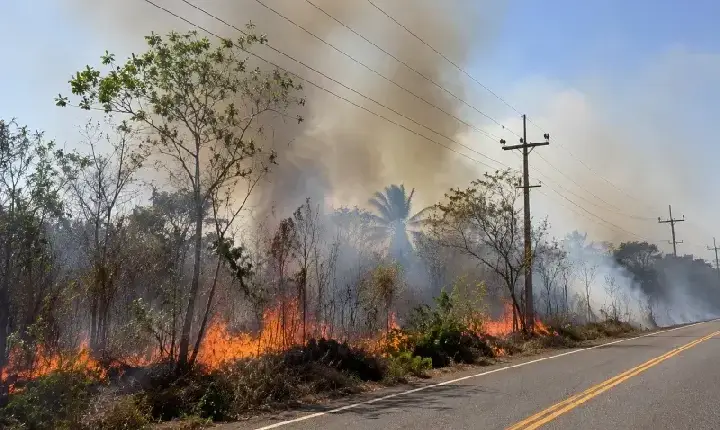 Portaria da Semarh suspende uso do fogo em 12 municípios da região de Uruçuí