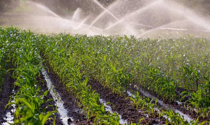 Rafael Fonteles sanciona lei que isenta atividades agropecuárias da cobrança pelo uso de água
