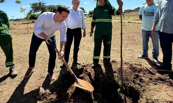 Reflorestamento na zona Norte de Teresina une órgãos públicos e beneficia comunidade