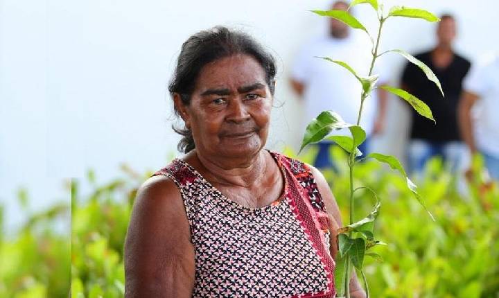 Semarh intensifica ações do ProVerde e distribui mudas no Vale do Rio Guaribas