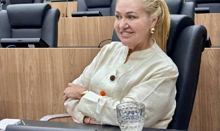 Sessão solene de quinta-feira (14) na Alepi vai homenagear assitentes sociais