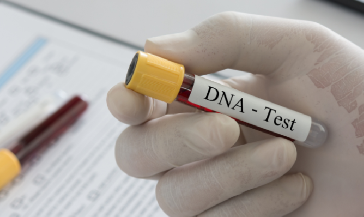 TJPI vai oferecer exames de DNA gratuitos e reconhecimento de paternidade