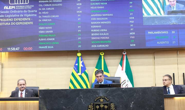 Vice-presidente da Alepi destaca papel do Legislativo na resolução de demandas
