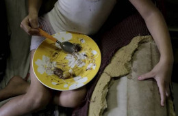 Wellington Dias destaca o compromisso mundial pelo combate à fome no Brasil