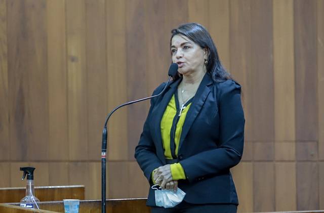 Deputada estadual Teresa Britto (PV)