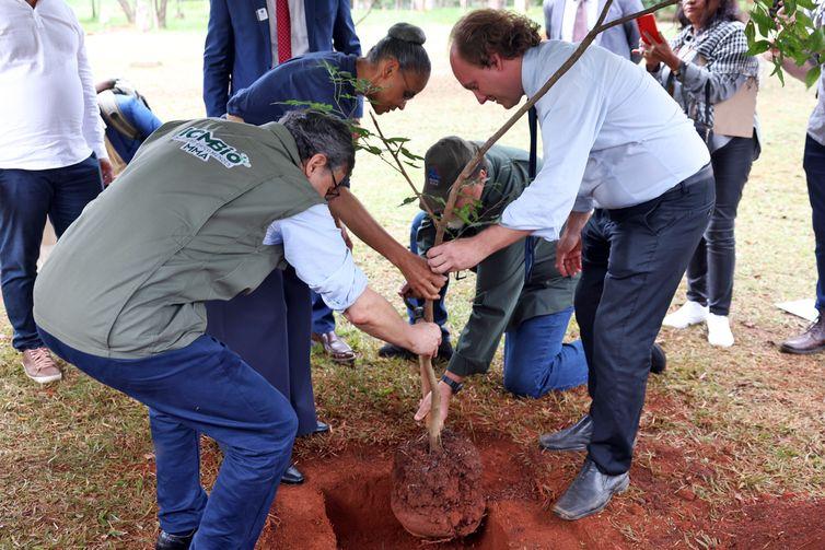Governo federal anuncia R$ 90 milhões para preservação do bioma Caatinga