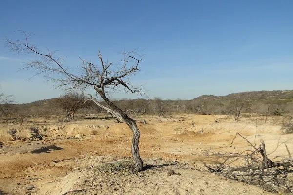 MPPI expede recomendação a municípios para suspensão de festas por causa da seca