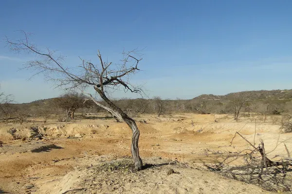 Secretaria de Estado da Defesa Civil abre licitação para contratação de carros-pipa