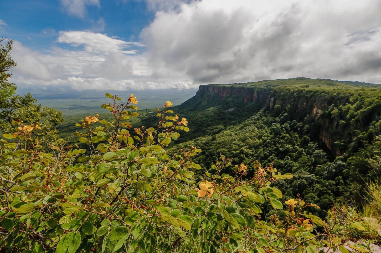 Cidade de Pedro II está pronta para receber turistas de todo o Brasil no Festival de Inverno