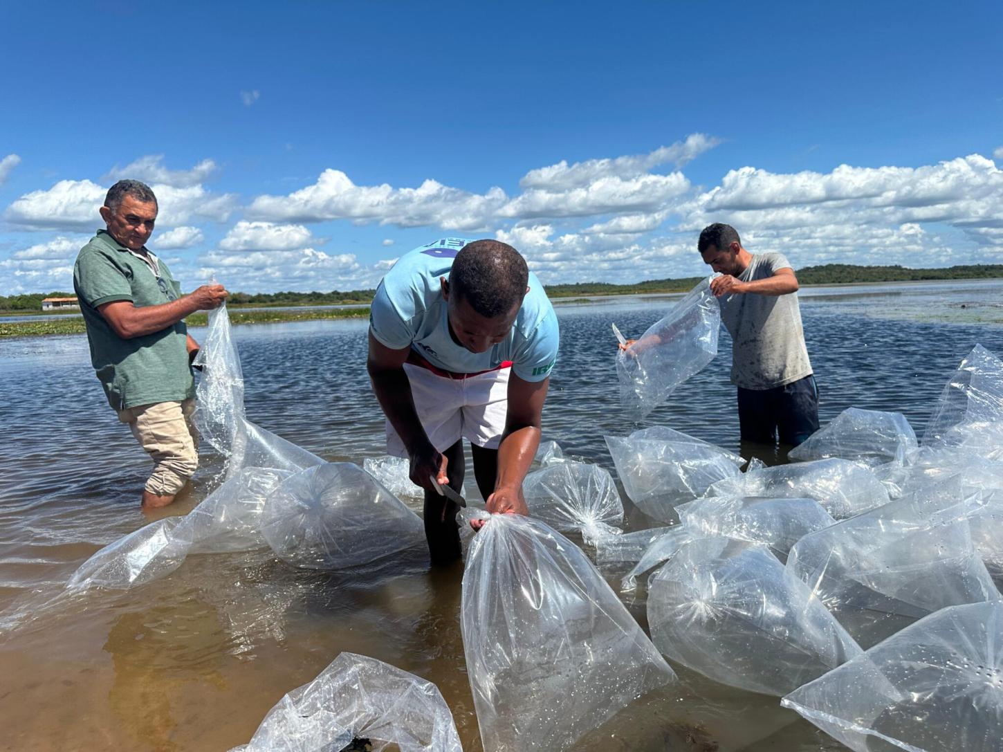 Semarh doa 100 mil alevinos e fortalece piscicultura e biodiversidade em Joaquim Pires