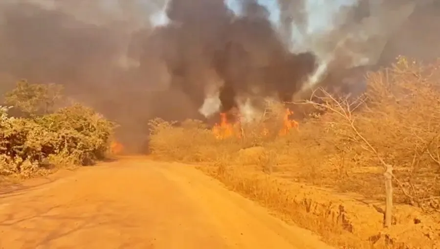 Corpo de Bombeiros envia equipes para combate à incêndios de grandes proporções no Sul do Piauí