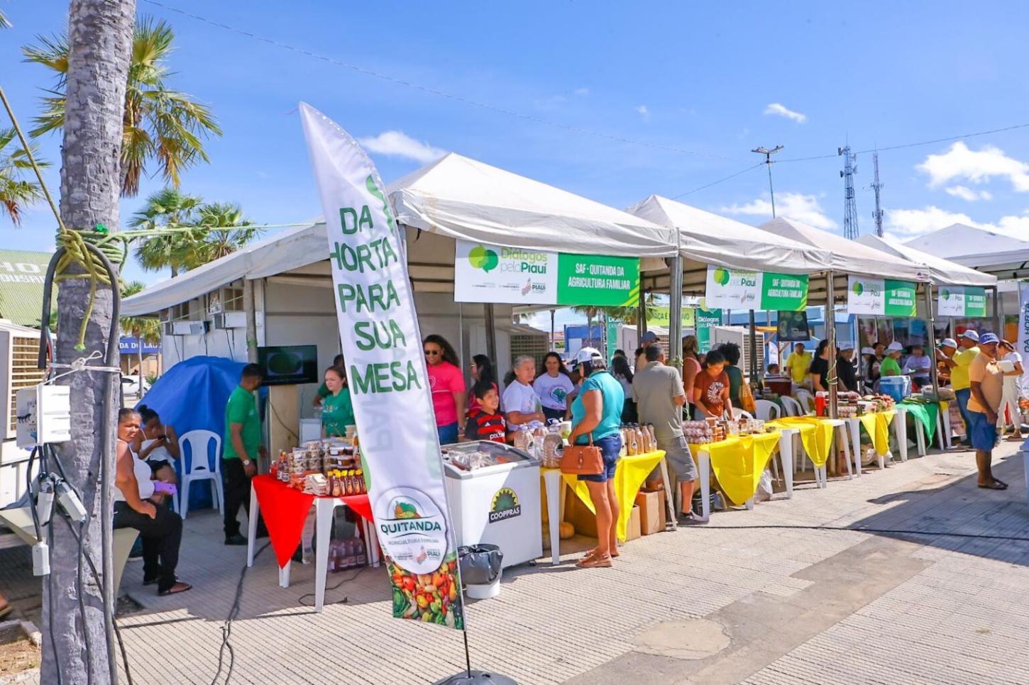 Diálogos pelo Piauí ofertará 73 tipos de serviços à população em São Raimundo Nonato