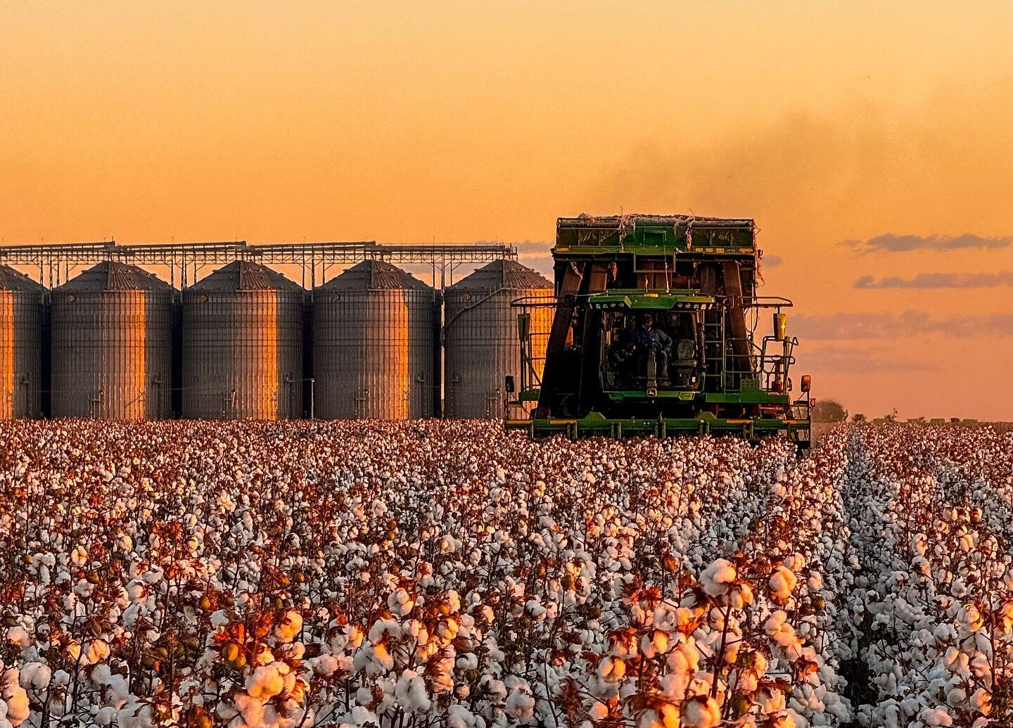 Inauguração de algodoeira em Gilbués marca novo impulso para a economia do Sul do Piauí