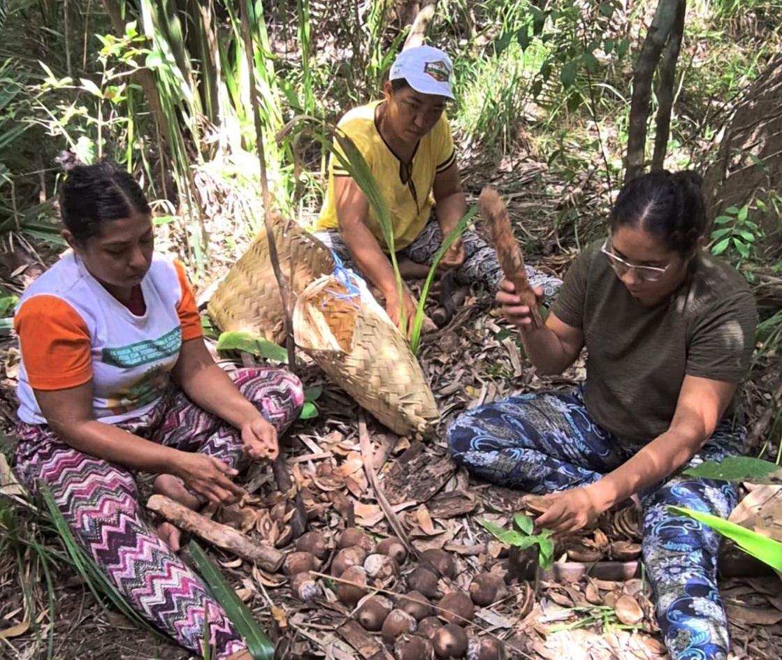 Quebradeiras vão criar fábrica de sabonetes artesanais feitos com óleo de coco babaçu