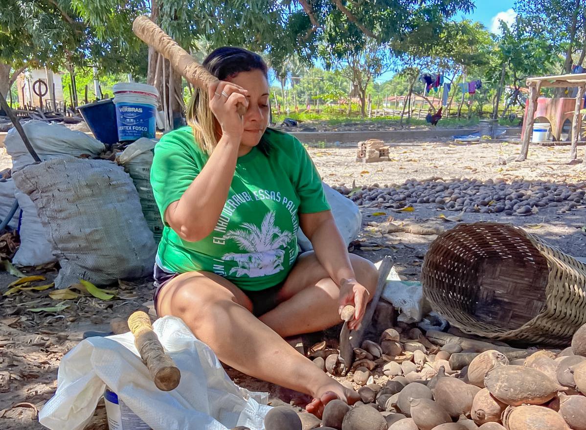 SAF fortalece o trabalho das quebradeiras de coco com projetos de geração de renda e sustentabilidade