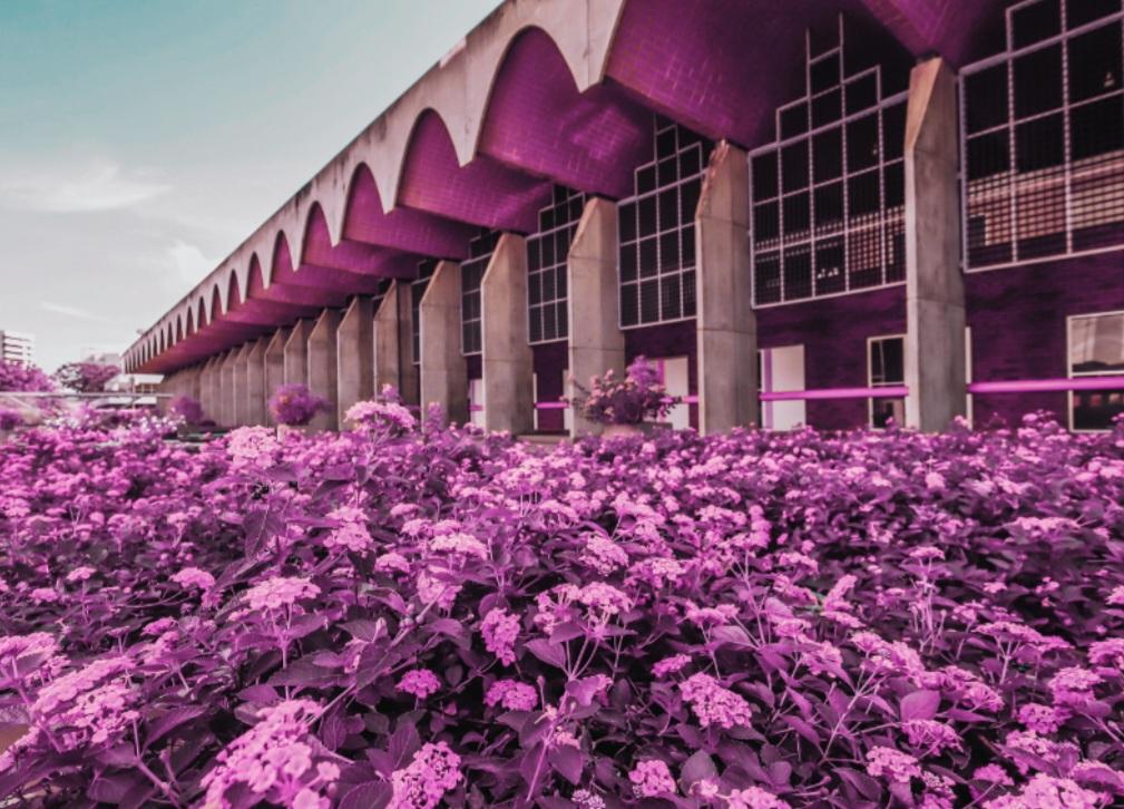 Piauí tem leis que garantem direitos a pacientes com câncer de mama