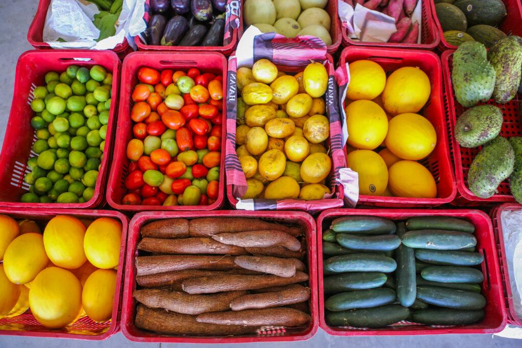 Inscrições para o Programa de Aquisição de Alimentos encerram nesta segunda-feira (1º)