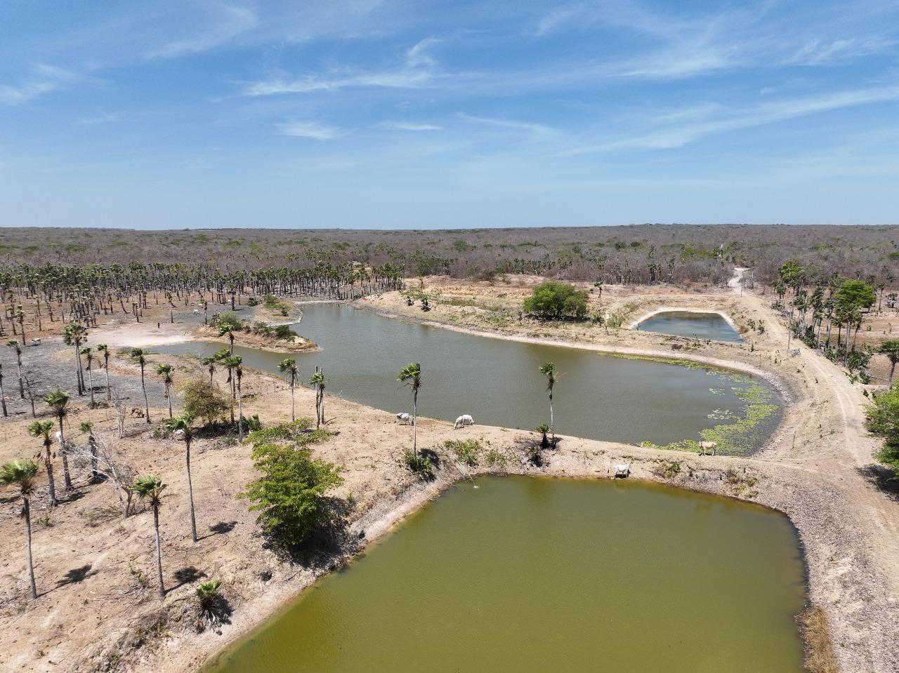 Semarh intensifica fiscalização das condições ambientais para proteção da Lagoa do Portinho