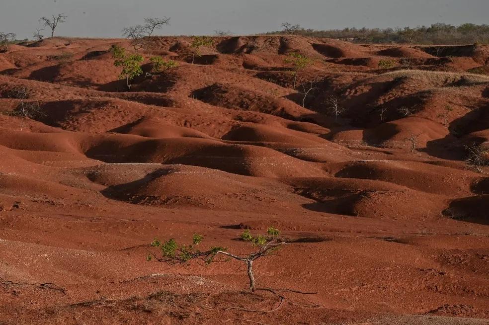 Piauí passa a integrar iniciativa que prepara cidades para impactos das mudanças climáticas