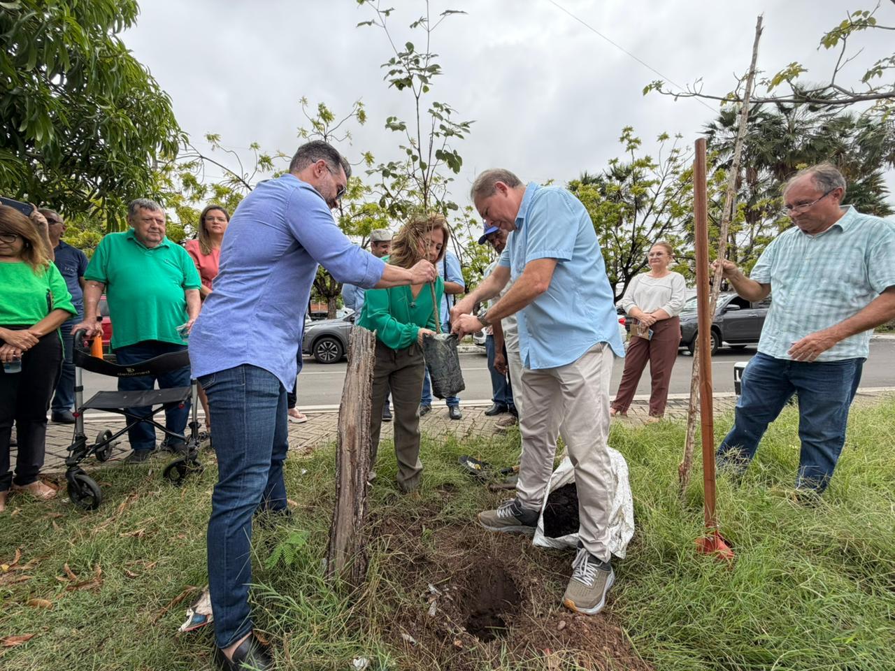 TCE-PI planta árvores no entorno da sede no bairro São Pedro em Teresina