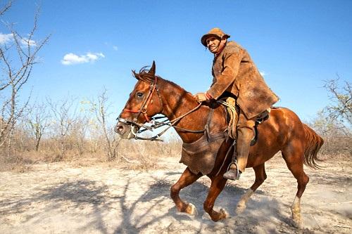 Assembleia Legislativa divulga o Calendário Oficial de Datas do Piauí