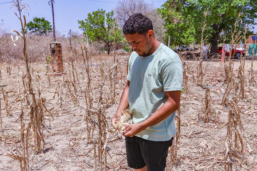 Monitoramento da Semarh aponta 49 cidades do Piauí em seca extrema