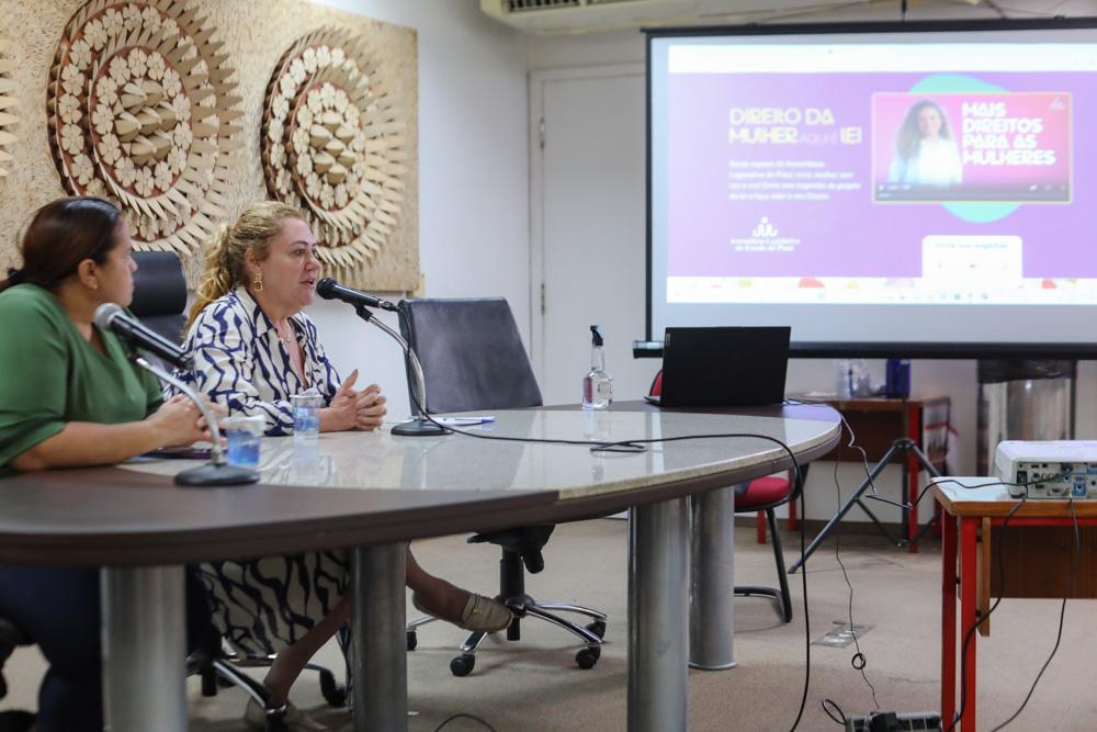 Alepi inicia análise do Programa Estadual de Combate à Misoginia Digital