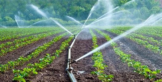 Aprosoja comemora isenção pelo uso da água pelos agropecuaristas