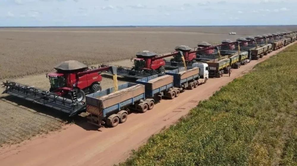 GEES acelera expansão no cerrado piauiense com projeto de irrigação de R$ 80 milhões