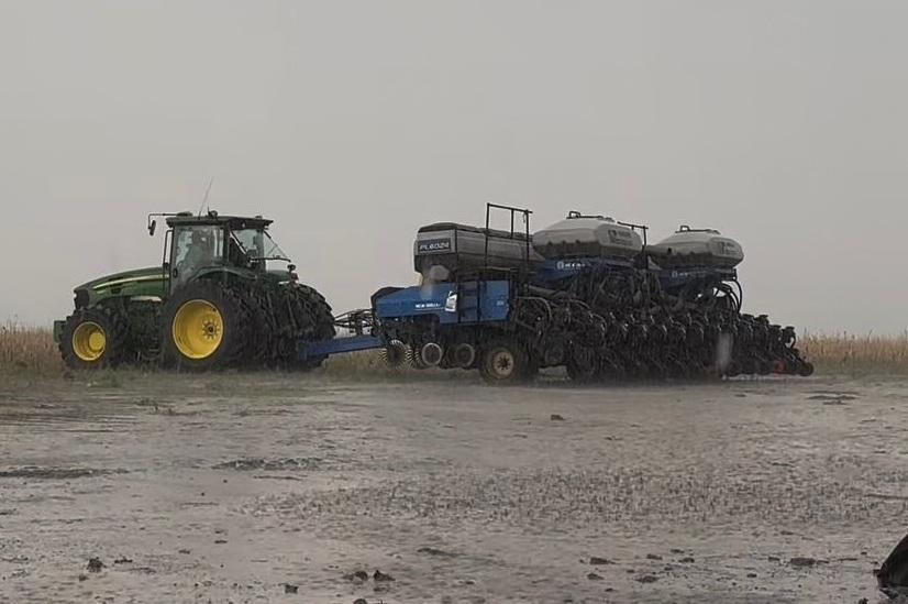 Excesso de chuva atrasa a colheita da soja no Sul do Piauí e preocupa produtores